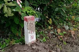 Hoàn thành cắm cọc GPMB dự án thành phần 1 cao tốc Cao Lãnh - An Hữu trong tháng 12