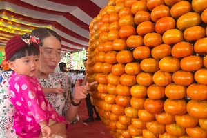 Đặc sắc Lễ hội quýt hồng Lai Vung, Đồng Tháp