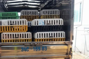 Đồng Tháp xử lý hành vi bao che buôn lậu động vật qua biên giới