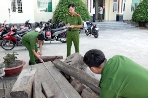 Phát hiện 30 khúc gỗ hương nghi nhập lậu