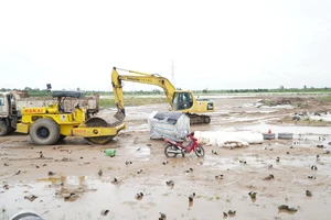 2 phương án bổ sung nút giao tuyến cao tốc Mỹ Thuận - Cần Thơ