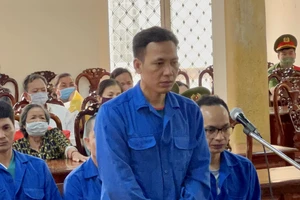 115 tấn đậu xanh và bản án 12 năm tù