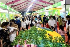 Tưng bừng Lễ hội Xoài Đồng Tháp năm 2023