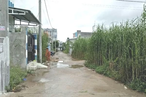 Không khởi tố vụ sai phạm đất đai tại quận Ninh Kiều