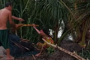 Công an xác minh clip chồng đánh vợ giữa đường ở Vĩnh Long