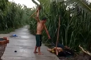 Bắt người đàn ông ở Vĩnh Long đánh vợ giữa đường