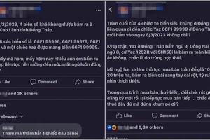 Chuyển Cơ quan điều tra vụ bấm các biển số đẹp ở Công an huyện Cao Lãnh