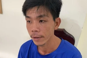 Leo rào vào nhà sát hại vợ hờ