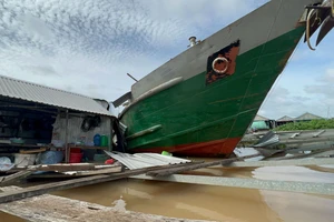 Tài công không có bằng lái, điều khiển sà lan tông vào 2 bè cá của dân