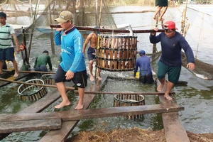 Dự báo kim ngạch xuất khẩu cá tra năm 2023 giảm 15%