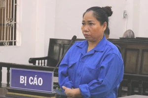 Lừa đảo hợp tác làm ăn, 1 phụ nữ ở Trà Vinh bị phạt 12 năm tù