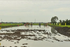 An Giang khẩn trương tìm nguồn cát cho cao tốc Châu Đốc - Cần Thơ - Sóc Trăng