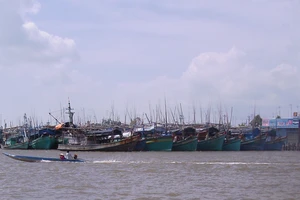 Tỉnh Cà Mau còn 225 tàu cá có nguy cơ cao vi phạm khai thác IUU