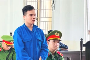 Cháu giết cậu vì câu 'cơm cho chó ăn hết rồi'