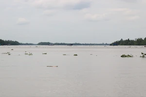 Vĩnh Long phê duyệt đánh giá tác động môi trường mỏ cát hơn 1 triệu m3 cho cao tốc