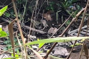 Vĩnh Long: Liên tiếp phát hiện bộ phận cơ thể người trên sông