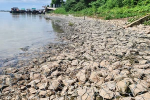 Kiến nghị chuyển công an điều tra việc chỉ định thầu cho công ty không đảm bảo năng lực