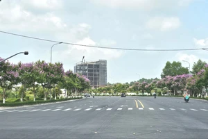 Công ty Cây xanh Công Minh trúng 4 gói thầu tại Vĩnh Long