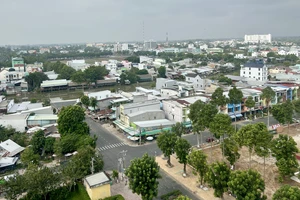 Công ty Cây xanh Công Minh trúng thầu hàng chục tỉ đồng tại Đồng Tháp