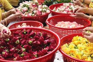 Những loài hoa nào được nấu nước để tắm Bà Chúa Xứ núi Sam