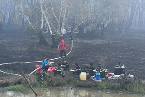 Đã dập tắt được đám cháy ở Vườn quốc gia Tràm Chim Đồng Tháp