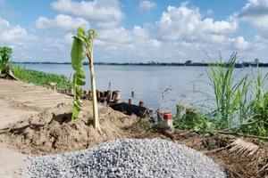 Lo sạt lở, Đồng Tháp kiến nghị không nâng công suất khai thác mỏ cát làm cao tốc