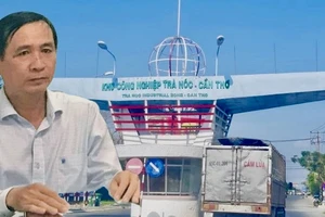 Lý do Tổng Giám đốc Công ty CIPCO bị khởi tố