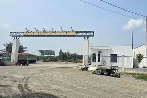 Đồng Tháp: Chuyển công an điều tra 1 công ty cho thuê đất sai quy định còn trốn thuế