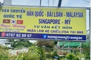 Công an Cần Thơ bắt tạm giam cô gái lừa đảo nhận hồ sơ lao động thời vụ ở Hàn Quốc