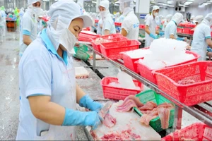Ngành cá tra Việt Nam hướng tới thị trường Halal đầy tiềm năng