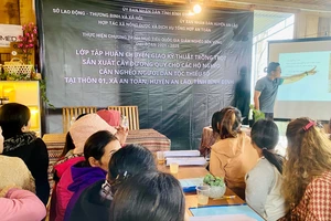 Bình Định: Hơn 9.000 hộ thoát nghèo, toàn tỉnh tỷ lệ hộ nghèo chỉ còn 1,01%