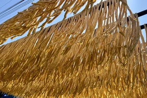 Làng nghề tàu hũ ky Mỹ Hòa tất bật mùa Tết