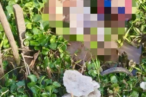 Nghi án người đàn ông đạp xe đi giao thịt heo bị sát hại, cướp tài sản