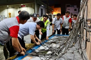 Tiếp nhận 6 con sếu đầu đỏ từ Thái Lan để bảo tồn tại Vườn Quốc gia Tràm Chim