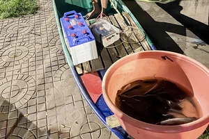 Cần Thơ: Bắt quả tang 1 người dùng xung điện bắt cá trên rạch Cái Khế