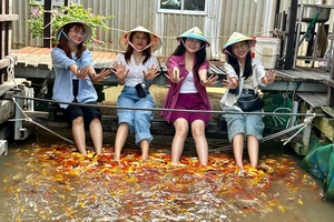 Các điểm du lịch Miền Tây rộn ràng đón khách dịp lễ 30-4 và 1-5