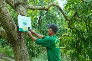 Huyện Cao Lãnh đạt chuẩn nông thôn mới nâng cao năm 2024