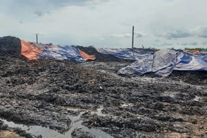 Giám đốc công ty bị khởi tố vì xả nước thải vỏ hột xoài ra môi trường