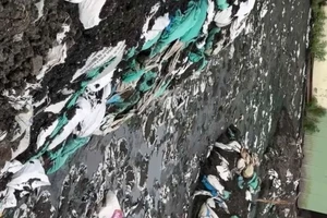 Phát hiện công ty tiếp nhận hàng chục tấn chất thải công nghiệp nghi gây ô nhiễm