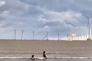 Sau sự cố 13 trụ điện ngã trên biển ở Vĩnh Long, yêu cầu chuyển sang cáp ngầm