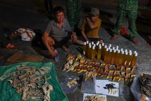 Bắt giữ hai phương tiện chở hơn 7 tấn sản phẩm nghi là động vật quý hiếm