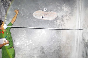 Đồng Tháp: Cháy nhà lúc nửa đêm, hai trẻ em tử vong