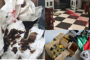 Bắt tạm giam 6 người tạt sơn, ném chất bẩn đòi nợ 