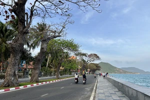 TP.HCM: Sắp có chính sách hỗ trợ học sinh, sinh viên Côn Đảo học tại đất liền