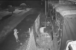 Ghen tuông, sát hại người yêu cũ