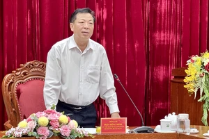 Nghiên cứu đầu tư cao tốc CT33 kết hợp mở rộng Quốc lộ 60 ở miền Tây