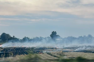 Ngạt khói khi đốt đồng, 1 phụ nữ tử vong 