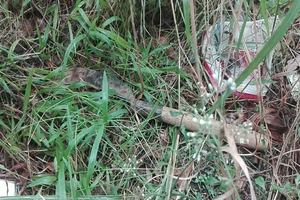 Vụ BOT Cai Lậy: Tài xế rút yêu cầu khởi tố kẻ chém mình