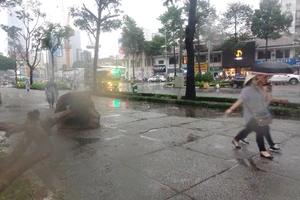 Bắt đầu bứng dưỡng, đốn hạ 75 cây xanh để làm metro