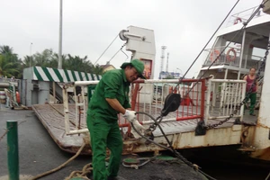 TP.HCM chuẩn bị ứng phó áp thấp nhiệt đới gần bờ